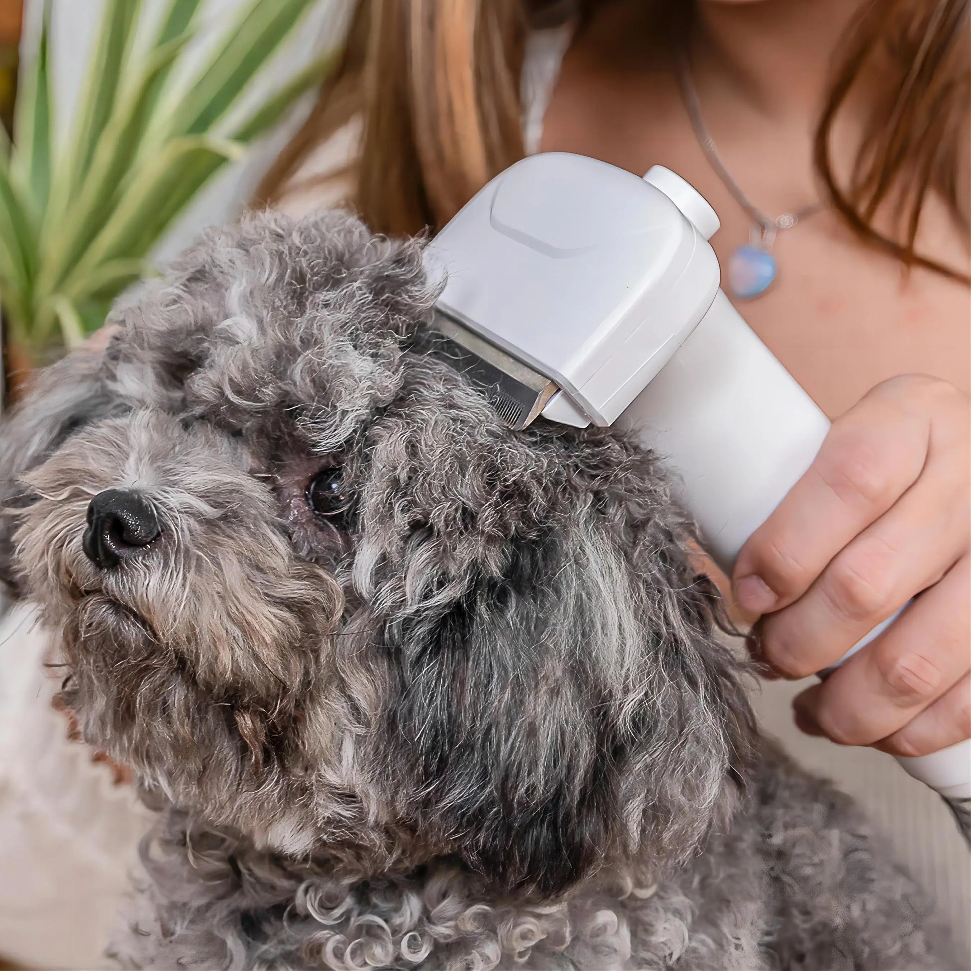 GroomMaster™ Pet Cleaning Station